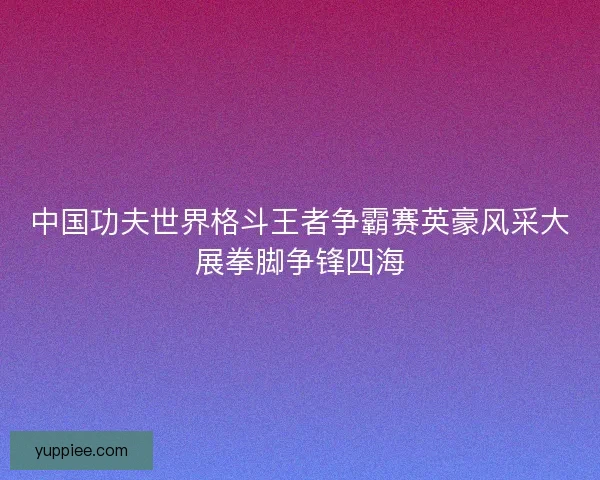中国功夫世界格斗王者争霸赛英豪风采大展拳脚争锋四海